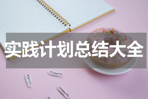 实践计划总结大全