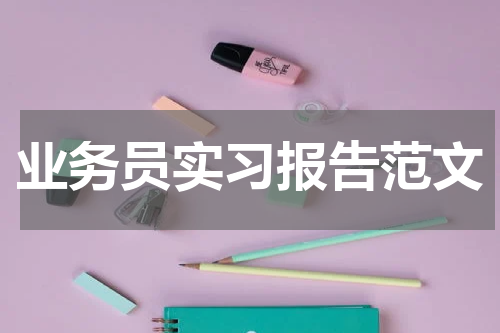 业务员实习报告范文