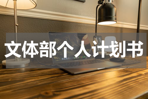 文体部个人计划书