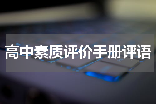 高中素质评价手册评语