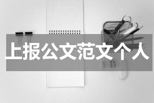 上报公文范文个人