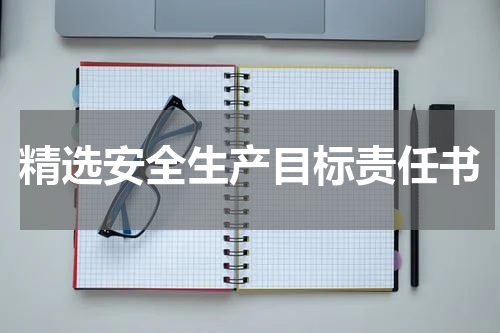 精选安全生产目标责任书