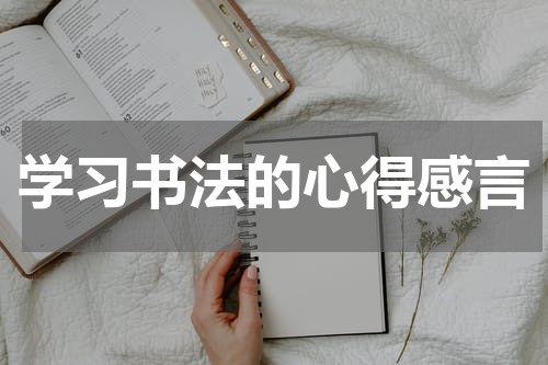 学习书法的心得感言