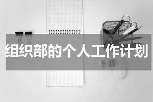 组织部的个人工作计划