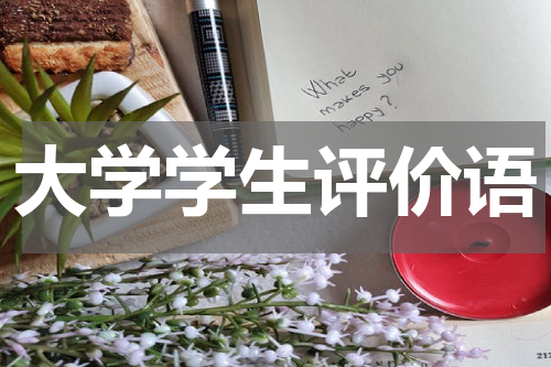 大学学生评价语