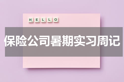 保险公司暑期实习周记