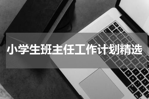 小学生班主任工作计划精选