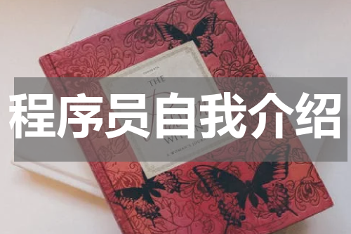 程序员自我介绍