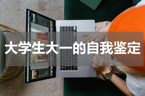 大学生大一的自我鉴定