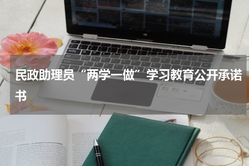民政助理员“两学一做”学习教育公开承诺书