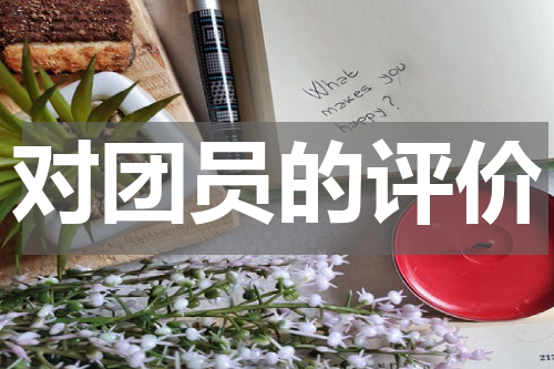 对团员的评价