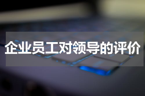 企业员工对领导的评价