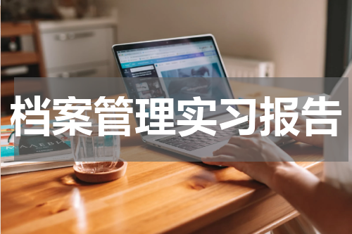 档案管理实习报告