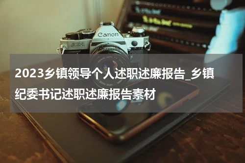 2023乡镇领导个人述职述廉报告_乡镇纪委书记述职述廉报告素材