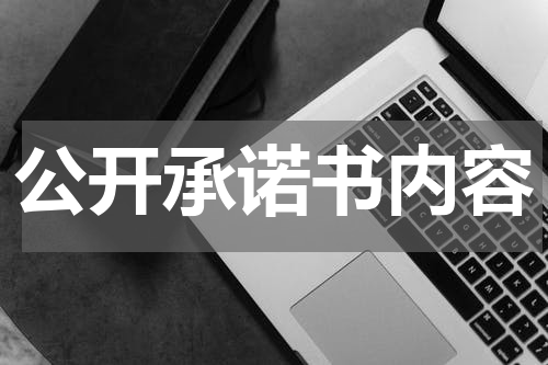 公开承诺书内容