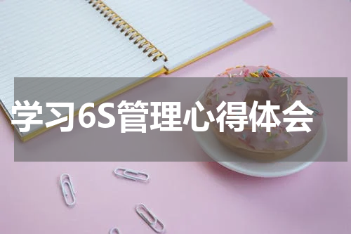 学习6S管理心得体会