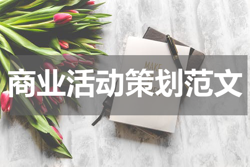 商业活动策划范文