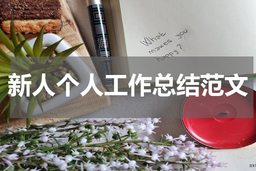 新人个人工作总结范文