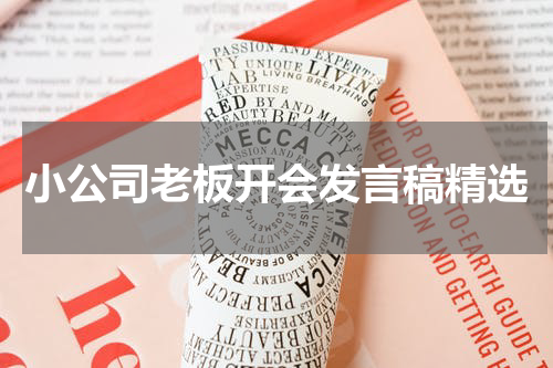 小公司老板开会发言稿精选