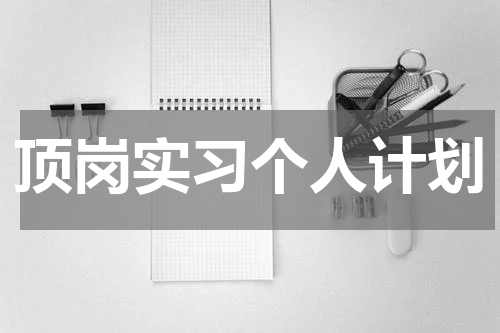 顶岗实习个人计划