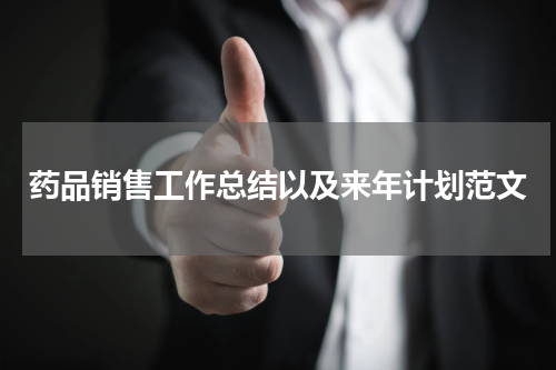 药品销售工作总结以及来年计划范文