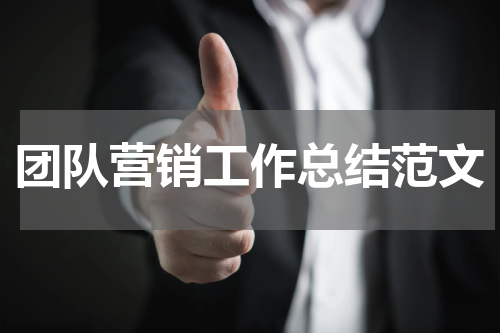 团队营销工作总结范文