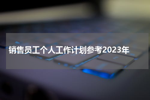 销售员工个人工作计划参考2023年