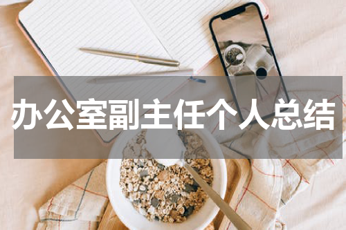 办公室副主任个人总结