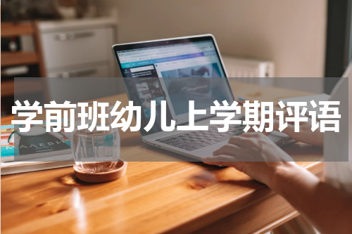 学前班幼儿上学期评语