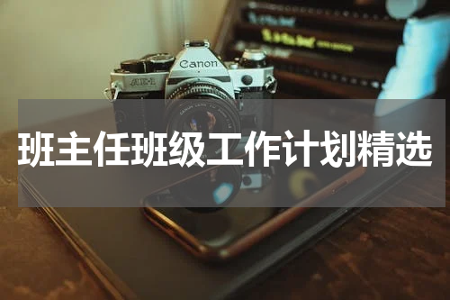 班主任班级工作计划精选