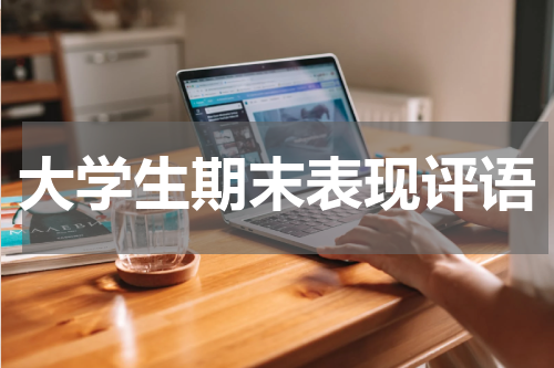 大学生期末表现评语