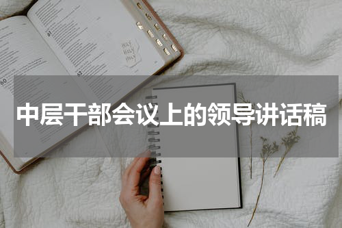 中层干部会议上的领导讲话稿