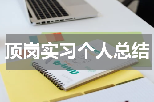 顶岗实习个人总结