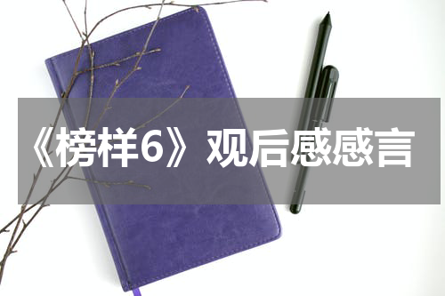 《榜样6》观后感感言