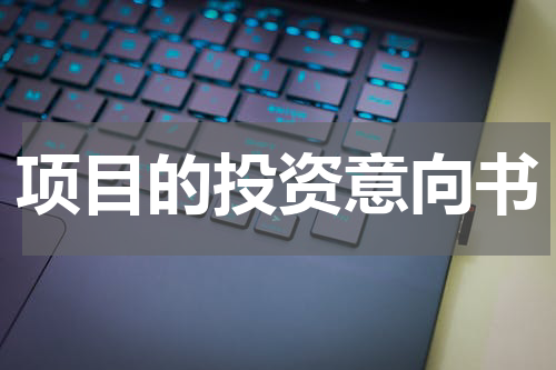 项目的投资意向书