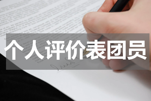 个人评价表团员