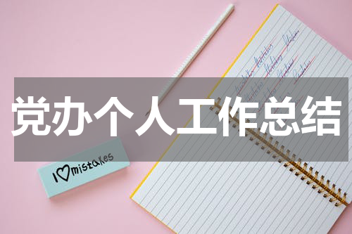 党办个人工作总结