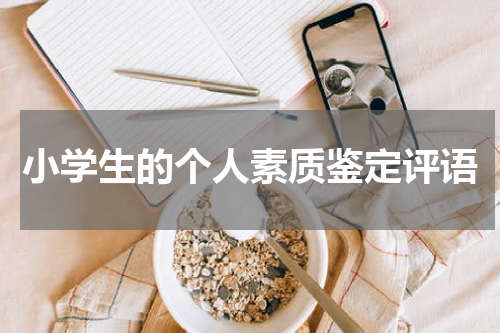 小学生的个人素质鉴定评语