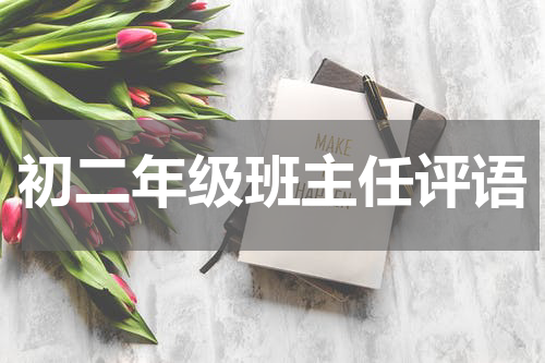 初二年级班主任评语