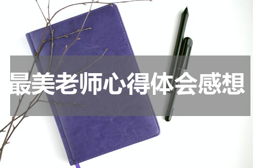 最美老师心得体会感想