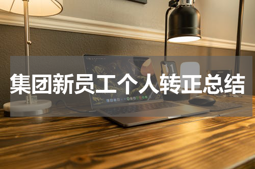 集团新员工个人转正总结