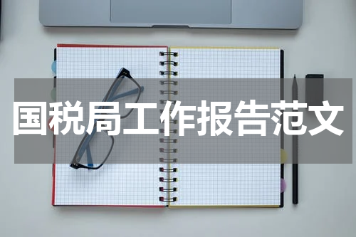国税局工作报告范文