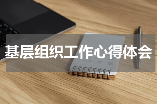 基层组织工作心得体会