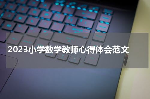 2023小学数学教师心得体会范文