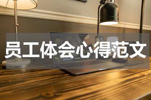 员工体会心得范文
