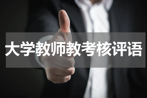 大学教师教考核评语