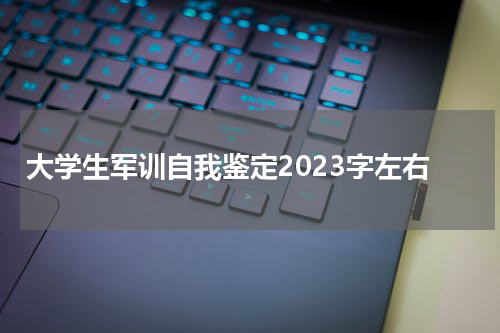大学生军训自我鉴定2023字左右