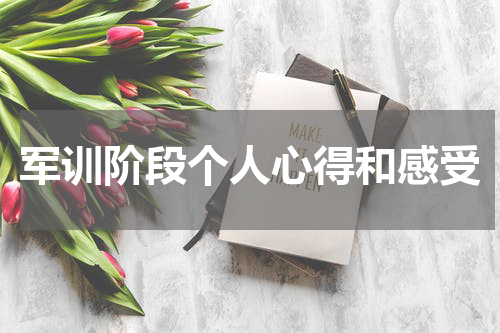 军训阶段个人心得和感受
