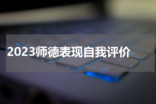 2023师德表现自我评价