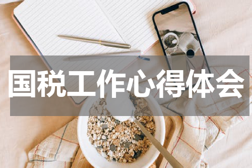 国税工作心得体会